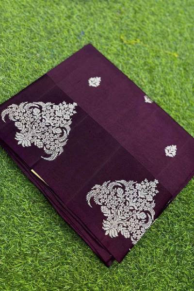 Wine Pure Raw Mango Banarasi Handloom Saree in Varanasi